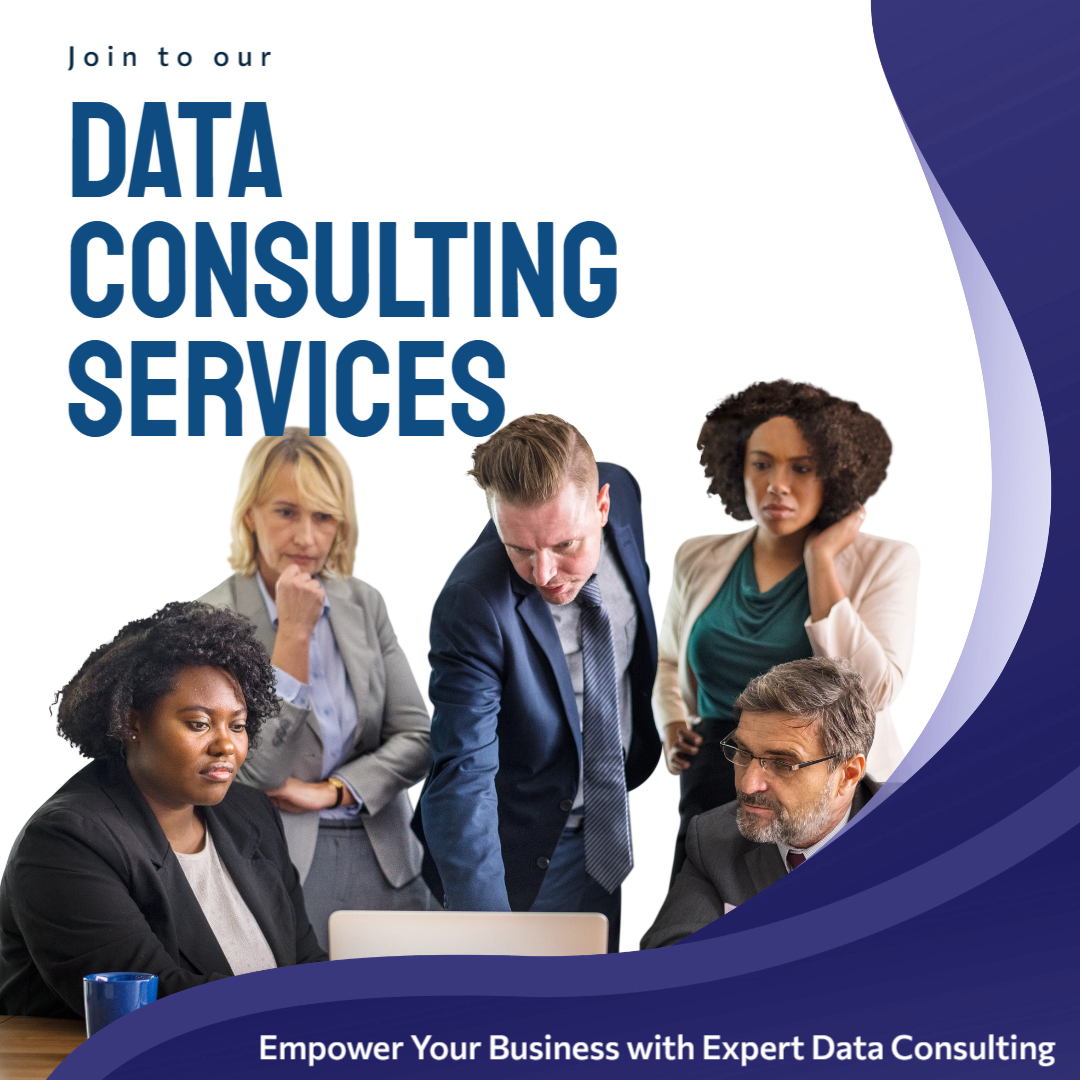 Data Consulting Services