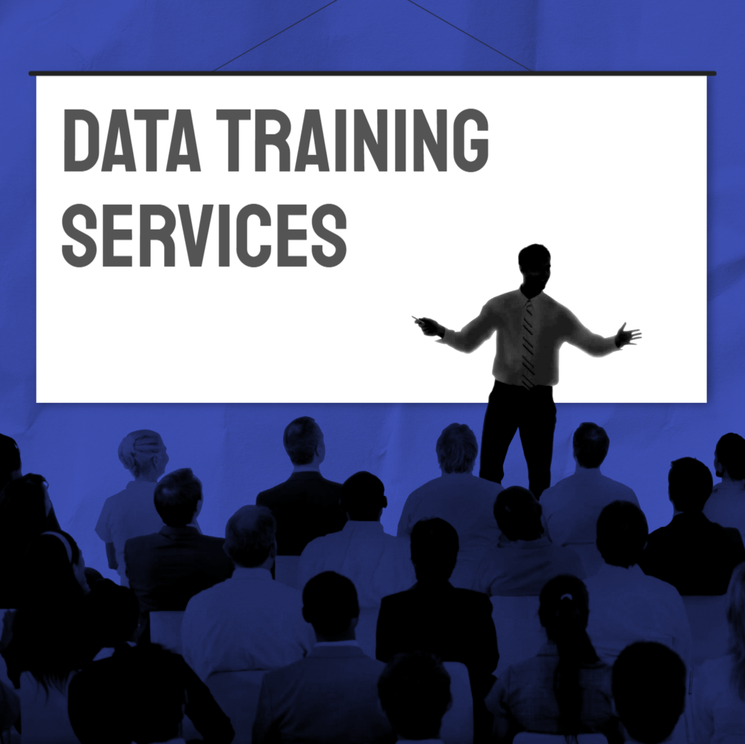 Data Training Services